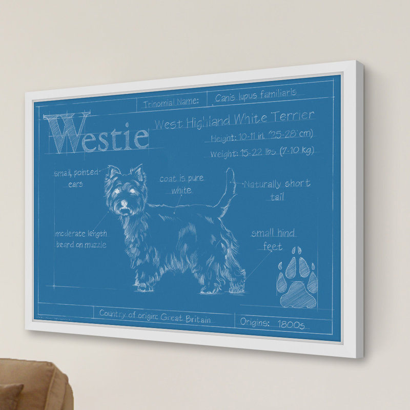 « westie », reproduction d’art encadrée, 30 po x 45 po