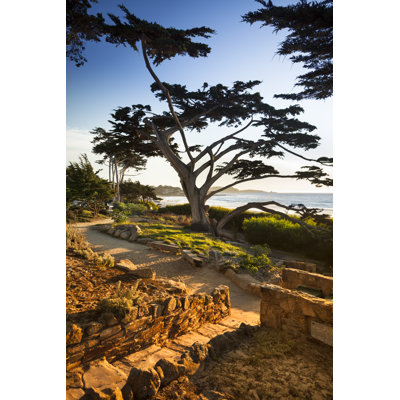Carmel Beach in Carmel-By-The-Sea by Pgiam