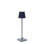Poldina Pro Micro Table Lamp