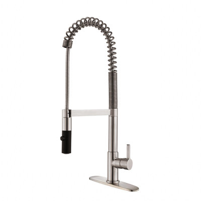 MAXWELL Pull Down Kitchen Faucet