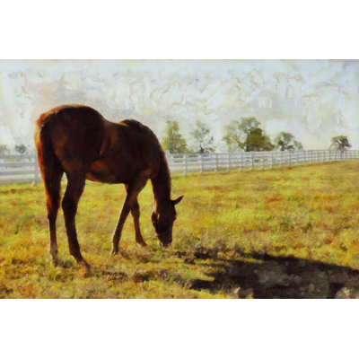 Painted Grazing Brown Horse - Wrapped Canvas Art Prints