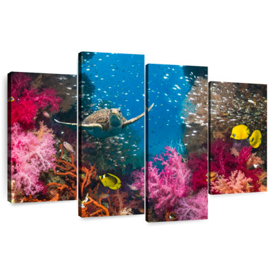 Underwater reef turtle Aletra