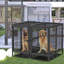 Duval 52" Dog Crate With Divider for 2 Large Medium Dogs