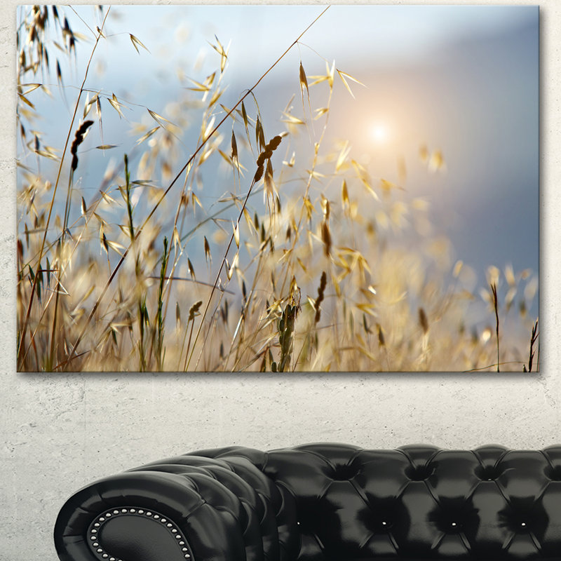 Typique, Toscane, coucher de soleil, Italie - reproduction de photo sur toile tendue, H 16 po x l 32 po x P 1 po
