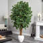72'' Faux Ficus Tree in Ceramic Planter