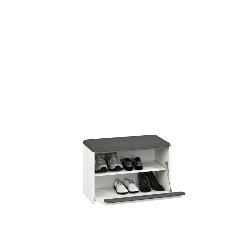 Azaneth 6 Pair Shoe Storage Cabinet
