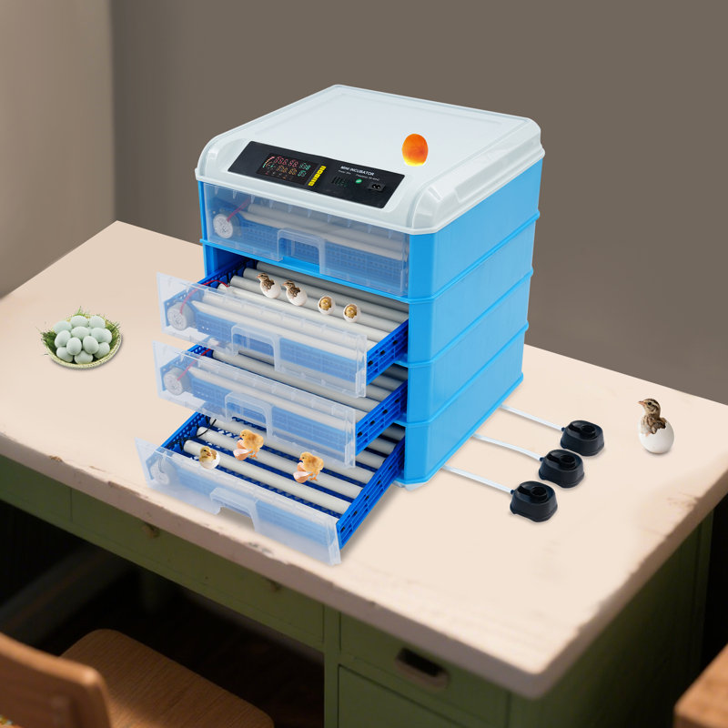 Machine à couver avec œuf tournant automatiquement pour les poules