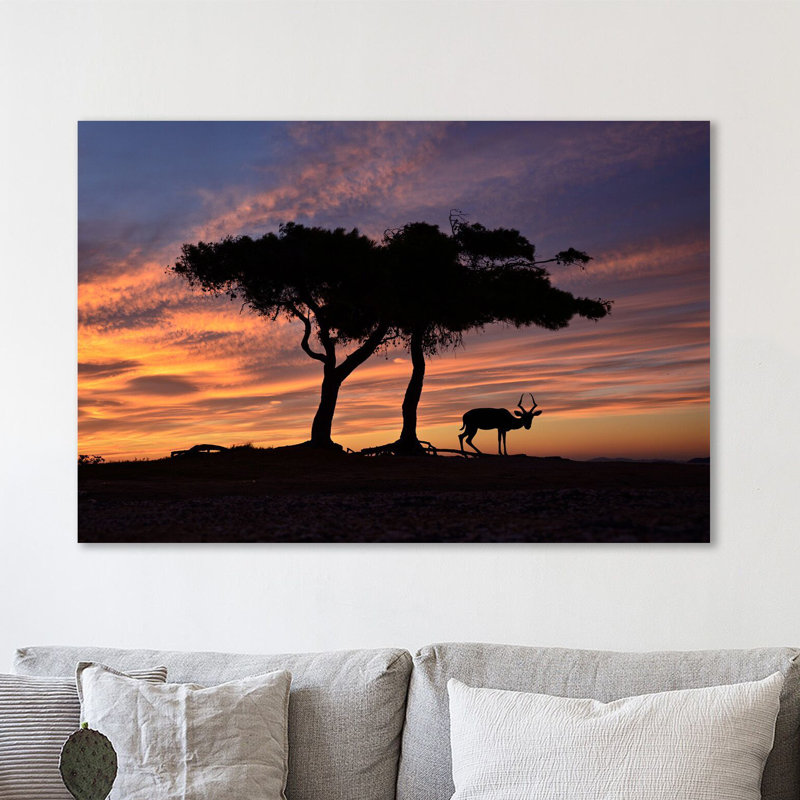 A New Dawn by Dominic Liam - Wrapped Canvas Print, 30cm H x 46cm W x 4cm D