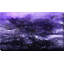 «Oververse, John 1: 5» par Mark Lawrence, reproduction d'art-1397948074-1397948065