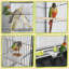 Cage de vol à toit plat 63 po Severson Wrought