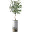 Arbre artificiel dans un pot de fleurs moderne, faux arbre en soie d'eucalyptus (décoration en pot et arbre)-85806482-85807175