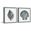 Diptyque rayé Queen Conch II-62442242