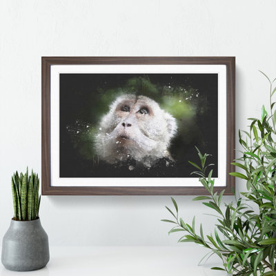 Macaque Monkey - Picture Frame Graphic Art