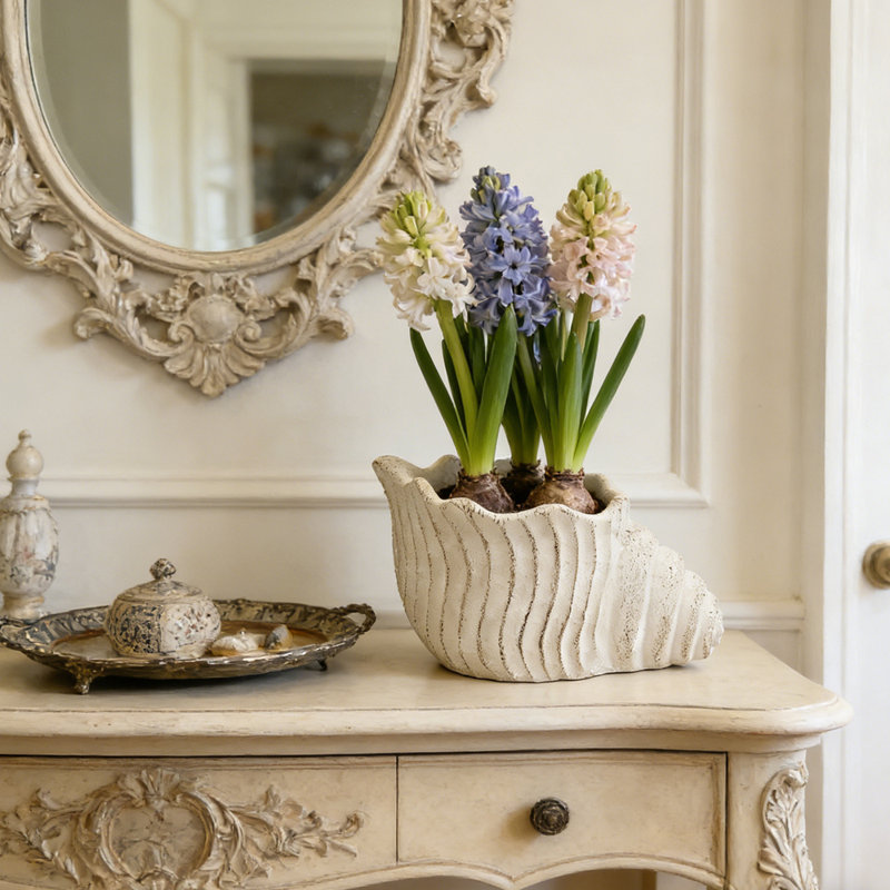 Pot à fleurs en forme de coquille d'escargot en ciment texturé sable - pot à fleurs unique de 11,5 pouces, idéal pour la décoration de jardin
