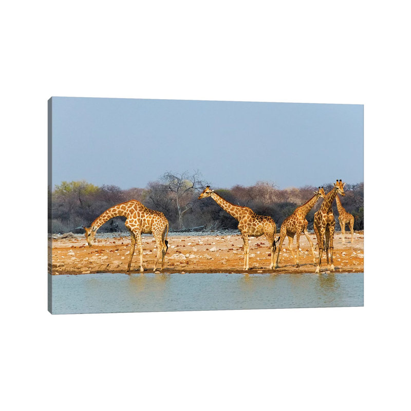 Giraffes By The River. Etosha National Park, Oshikoto Region, Namibia by Keren Su - Wrapped Canvas Gallery-Wrapped Canvas Giclée
