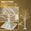 Lighted Trees & Branches