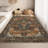 Machine Washable Area Rug Vintage Area Rugs Non Slip Backing Distressed Carpet for Living Room Kitchen Entryway-225642314-225642315