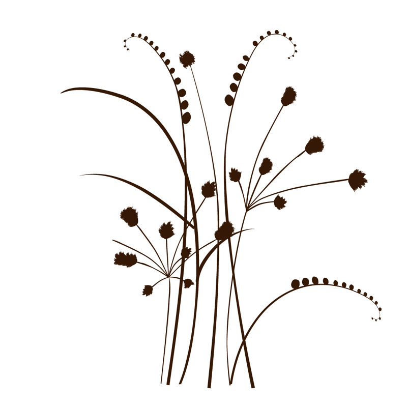 Adhésif décoratif herbes sauvages, Chocolat