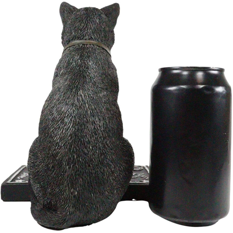 Jonesha, chat noir d'Halloween