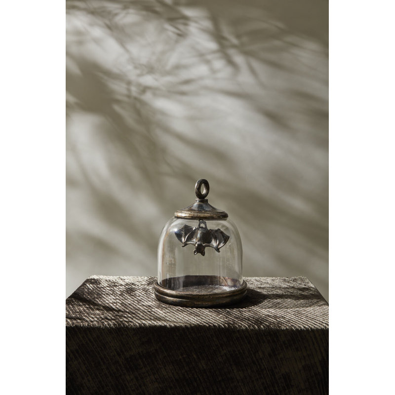 Bat Cave Cloche 6,5 po x 8,25 po