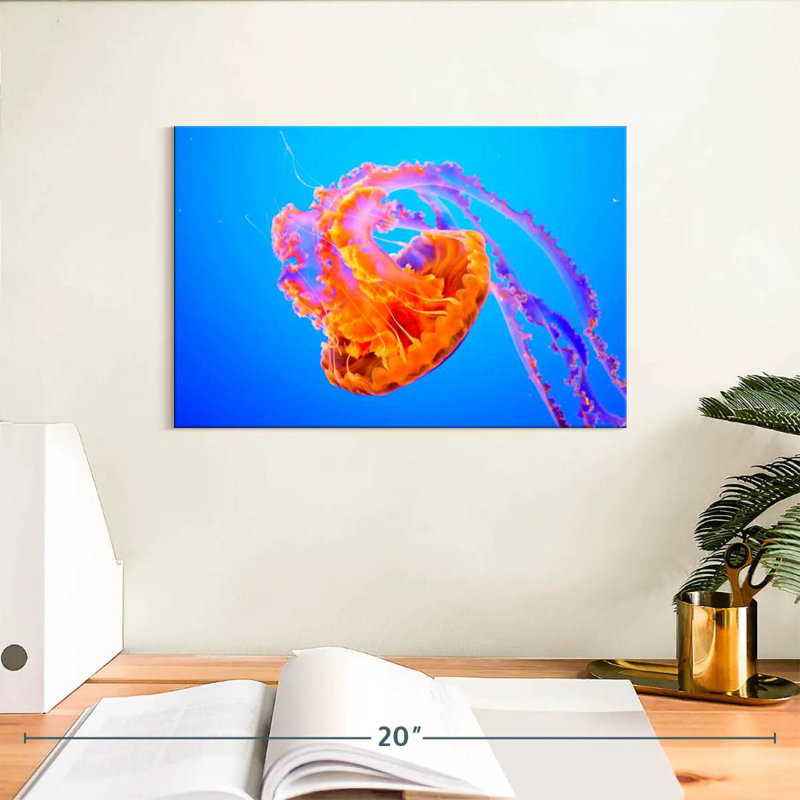 Brampt Jellyfish Somersault, 8" H x 12" W