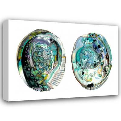 Highland Dunes McCavitt, Naomi Gallery Wrapped Canvas Art Titled: Abalone Shells I