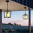 12.5'' Hardwired Outdoor Hanging Light