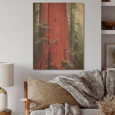 Séquoia résonnant, arbre dans la forêt