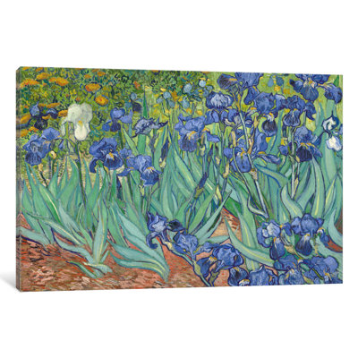 Irises, 1889 by Vincent van Gogh - Wrapped Canvas Painting Print