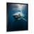 Black Single Picture Framed