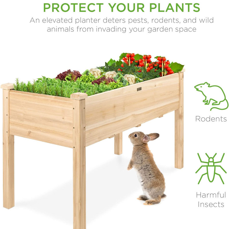 Wooden High-rise Garden Bed for Outdoor, Deep Large Planter Box