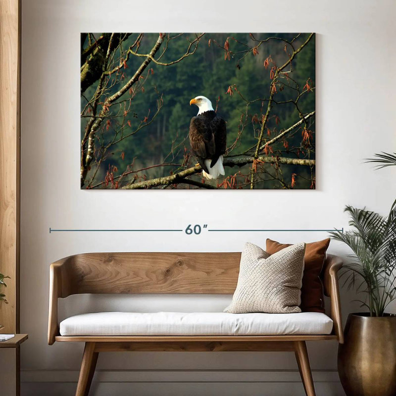 Brampt Perched Canadian Bald Eagle, 32" H x 48" W