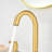 Larko 8 in. Widespread 2-Handle Bathroom Vanity Sink Faucet with Metal Pop-Up Drain-107123034