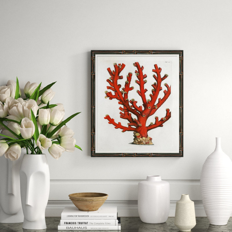 Red Coral Illustration V Giclee Print by Soicher Marin Archives
