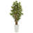 60'' Faux Bamboo Tree in Ceramic Planter