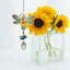 Bourdon Crystal Wonders ™
