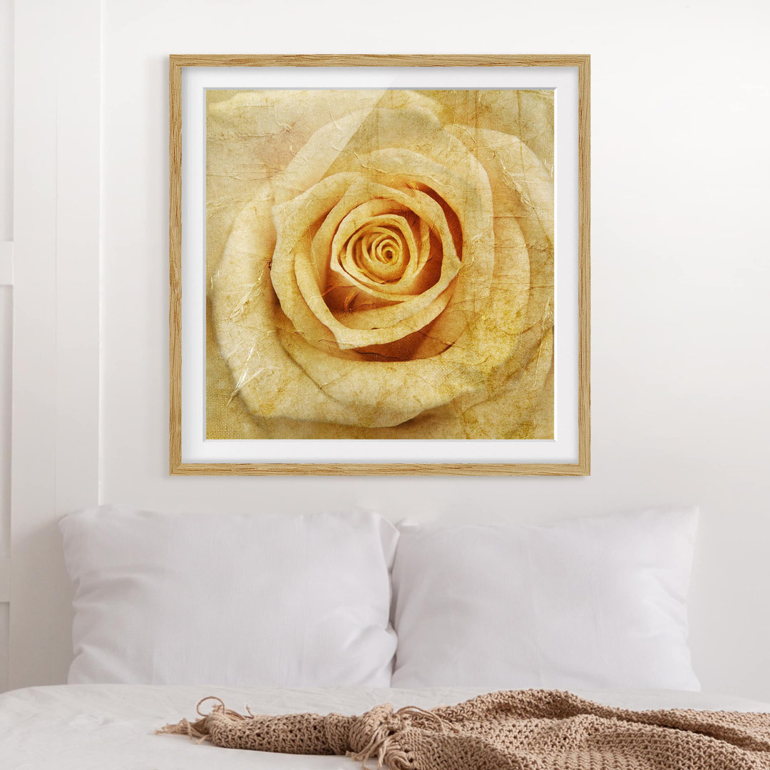 Gerahmtes Papierbild Vintage Rose