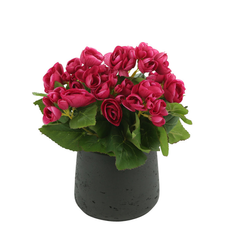 Begonia Floral Arrangement, Pink, Black