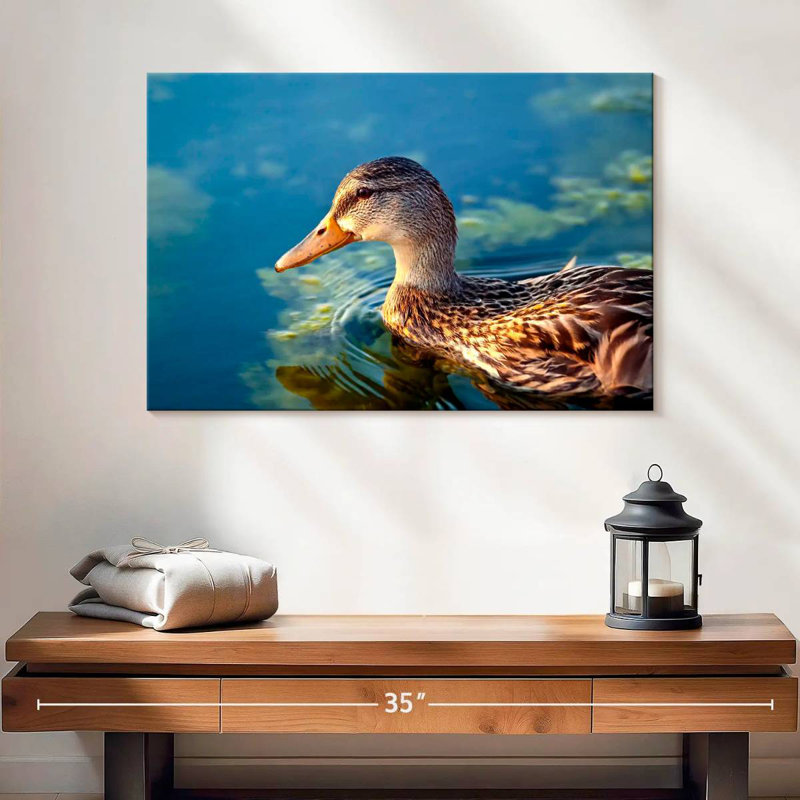 Canard colvert sur l'eau, H 16 po x l 24 po