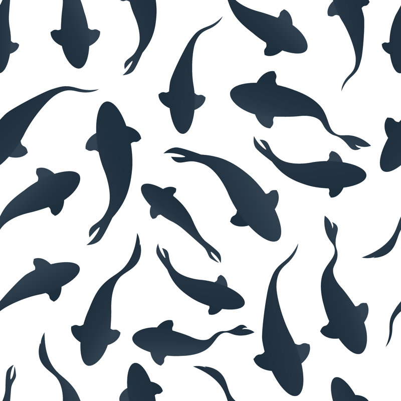 Fish Swimming by AlexeyBlogoodf - Wrapped Canvas Print, 51cm H x 51cm W