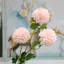 Arrangement