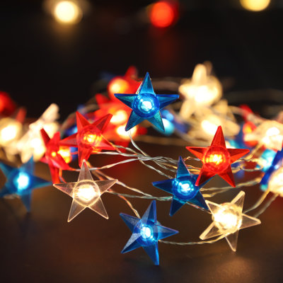 Jediael 10'' Battery Powered Shaded String Light