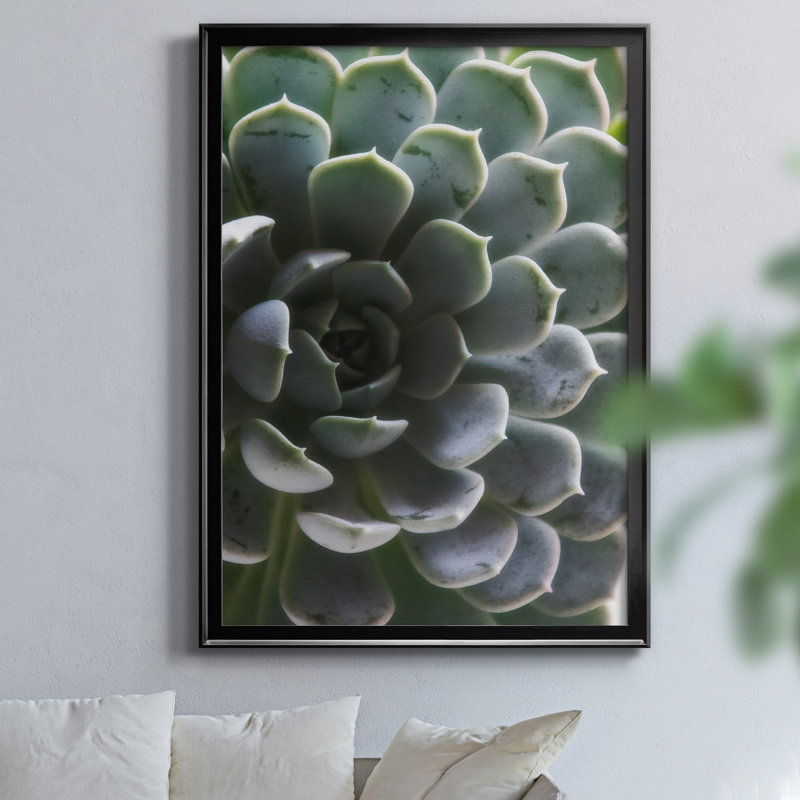 «Zen Succulent I» par J Paul - reproduction de photo sur toile encadrée, H 22,5 po x l 30,5 po x P 1,5 po, Noir