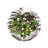 Country Estate Party Plates Assorted