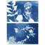 Faded Poetry Set Set by Oliver Gal-1173086332-1173086333