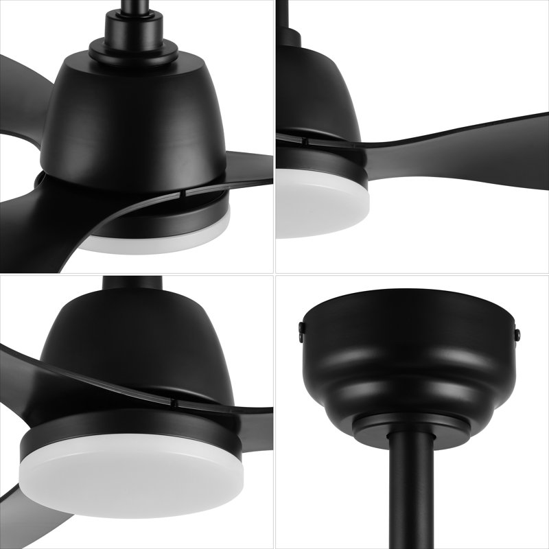 Clarra 52'' Ceiling Fan with LED Lights, Black