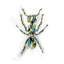 « ant », impression sur toile tendue-22639368-72672330-72672332