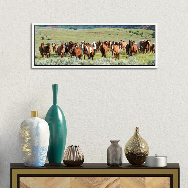 Band On The Run by Rhonda Thompson - Floater Frame Panoramic Print on Canvas, White Floater Frame, 30.48 cm H x 91.44 cm W