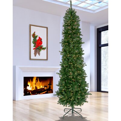 Lit Hudson Valley 9' Green Spruce Artificial Christmas Tree with 550 Clear/White Lights -  The Holiday Aisle®, 2A71D20FB1934108A3CE7BA91444E1D7