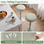 Ensemble de 2 tabourets de bar, tabourets de cuisine réglables en hauteur et pivotants, verts-234661257-234661266